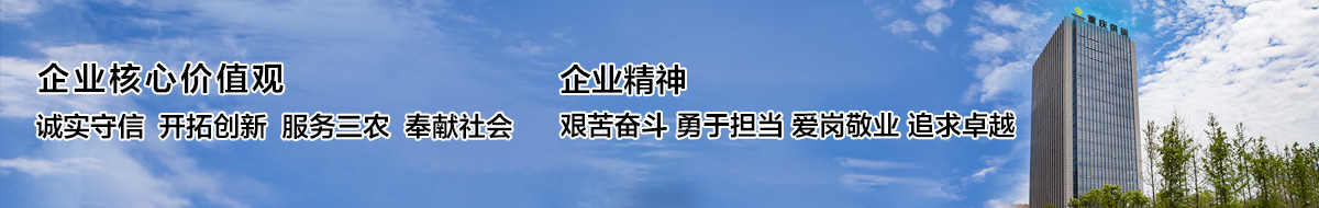 重庆888集团控股（集团）门户网站