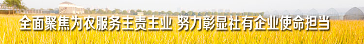 888集团(中国)有限公司官网